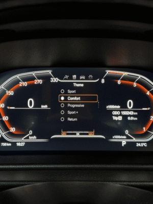 Choices of themes for the BMW digital dashboard