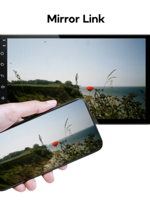 multimedija palaiko mirror link funkciją